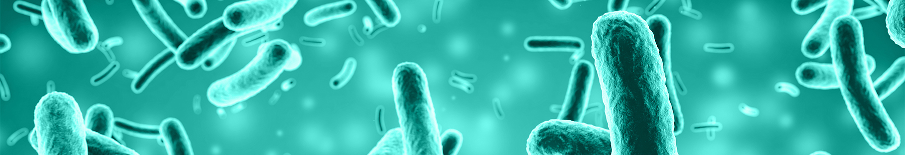 Antibiotics Banner