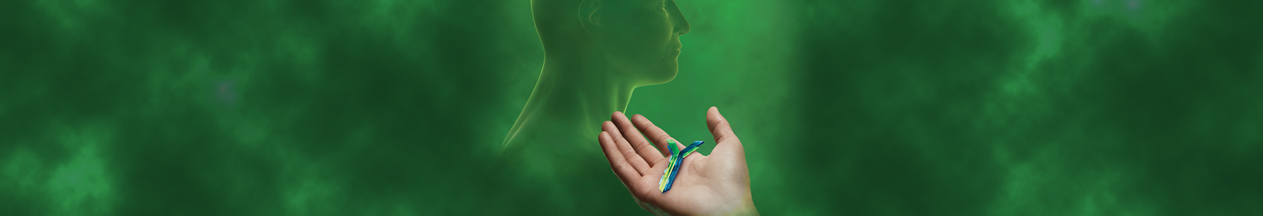 HeadNeck Banner